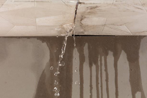 Professional Structural Drying technician working in Crosbyton, TX